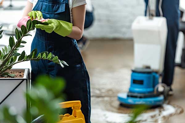 Cleaning Plant